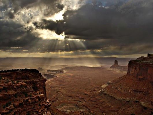 Beautiful Colors Of The Nature