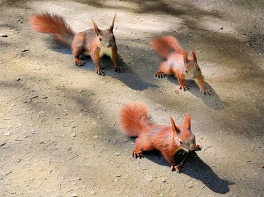 Beautiful Colors Of The Nature