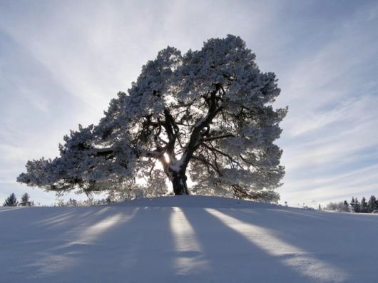 Beautiful Colors Of The Nature
