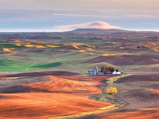 Beautiful Colors Of The Nature