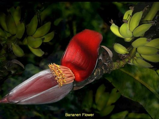 Beautiful Colors Of The Nature