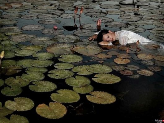 Beautiful Colors Of The Nature