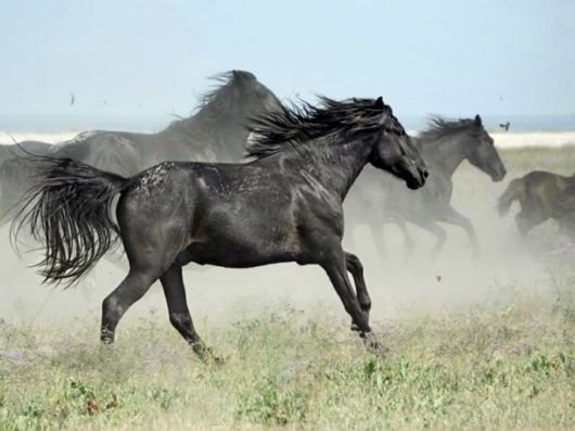 Beautiful Colors Of The Nature