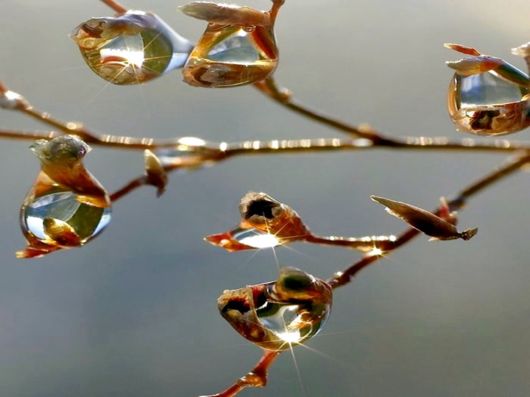 Beautiful Colors Of The Nature