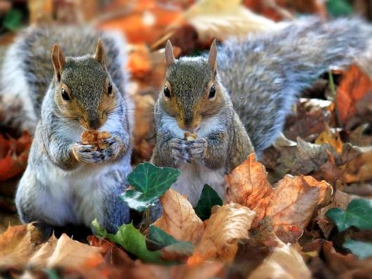 Beautiful Colors Of The Nature