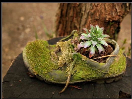 Beautiful Colors Of The Nature