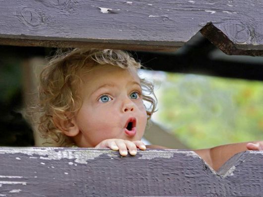 Beautiful Colors Of The Nature