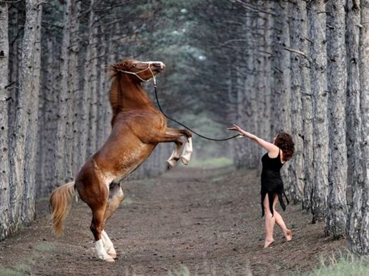 Beautiful Colors Of The Nature