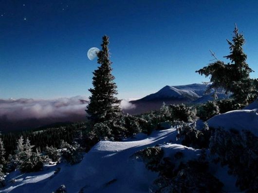 Beautiful Colors Of The Nature