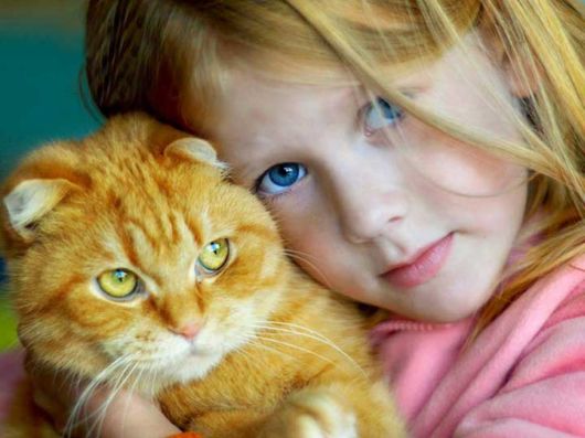 Beautiful Colors Of The Nature