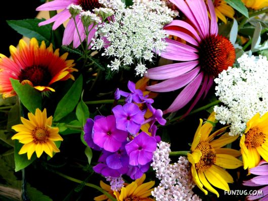 Fresh Flowers for You | Funzug.com