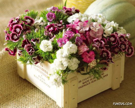 Fresh Flowers for You