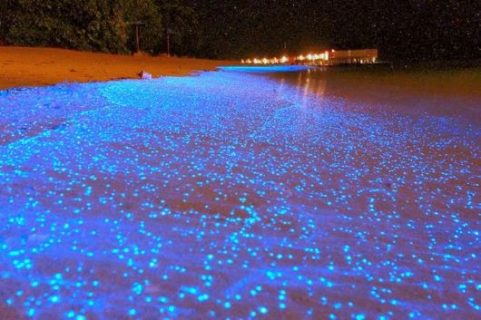 Spectacular Glowing Beach Of Maldives