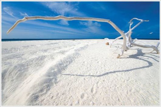 A Selection Of Best Sceneries