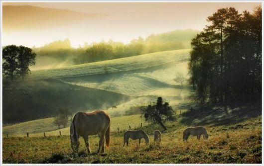 A Selection Of Best Sceneries