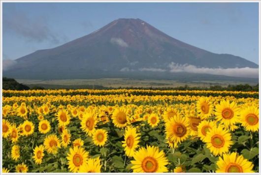 A Selection Of Best Sceneries