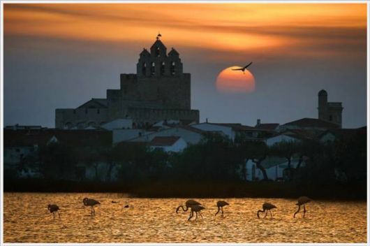 A Selection Of Best Sceneries