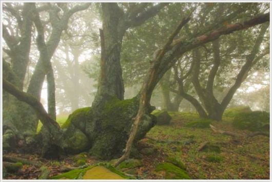 A Selection Of Best Sceneries