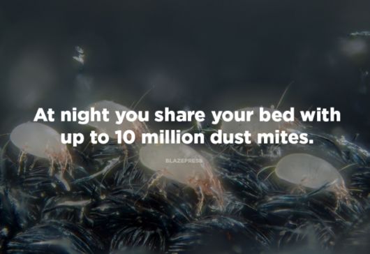 Some Shocking Facts About Nature