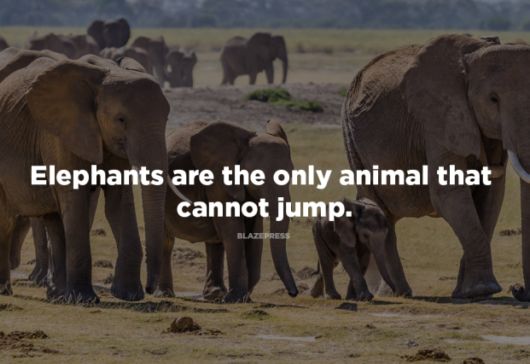Some Shocking Facts About Nature