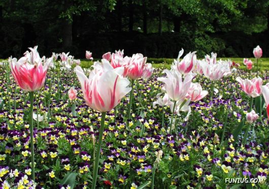 Why We Love The Spring Season