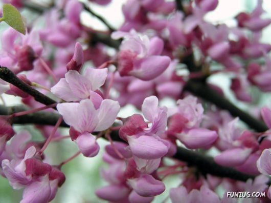 Why We Love The Spring Season