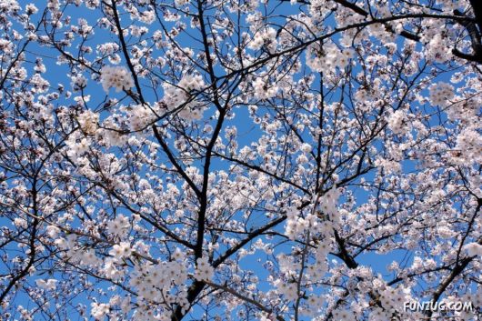 Why We Love The Spring Season