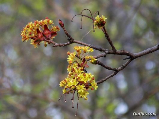 Why We Love The Spring Season