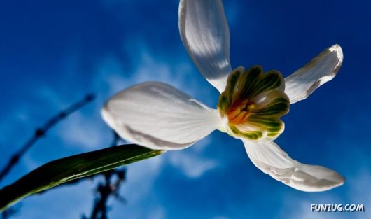 Why We Love The Spring Season