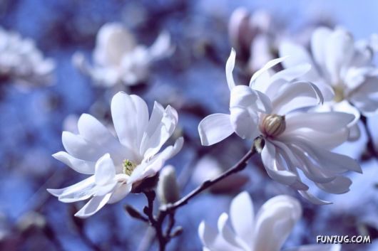 Why We Love The Spring Season