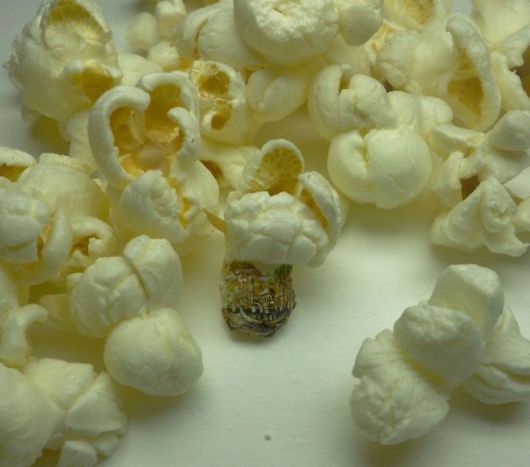 Tiniest Paintings You Will Ever See 