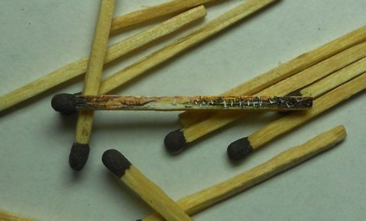 Tiniest Paintings You Will Ever See 