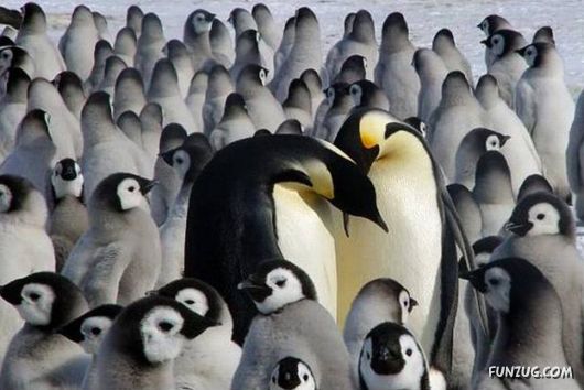 Love Love Every Where