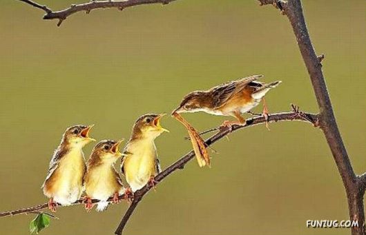 Love Love Every Where