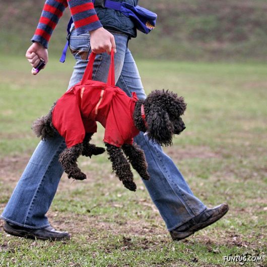 Innovative Gadgets To Make Life Easy