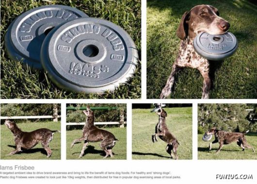 Innovative Gadgets To Make Life Easy