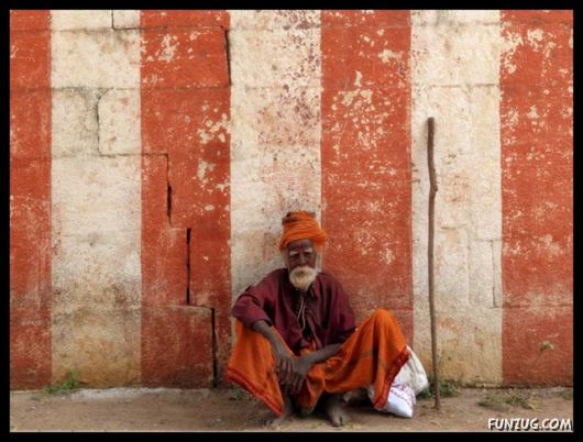 The Colours of India