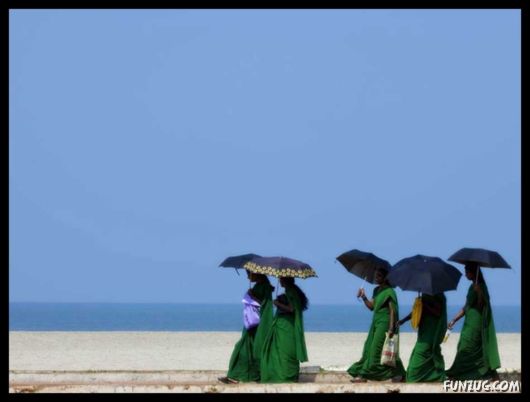 The Colours of India