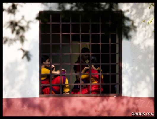 The Colours of India