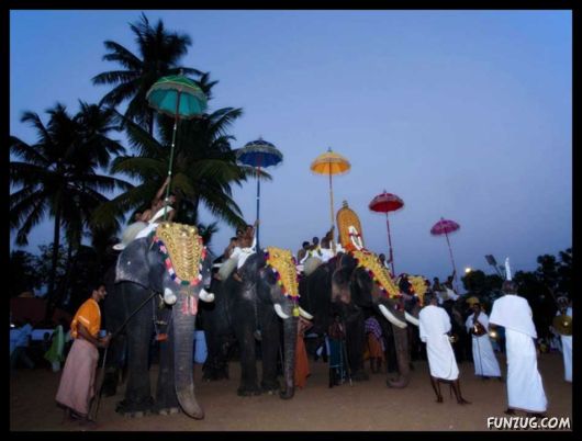 The Colours of India