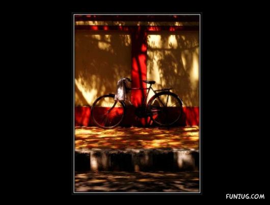 The Colours of India