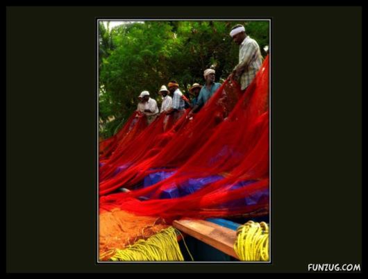 The Colours of India