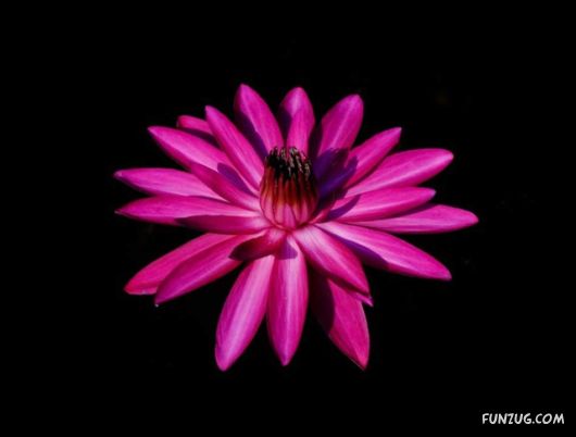 The Colours of India