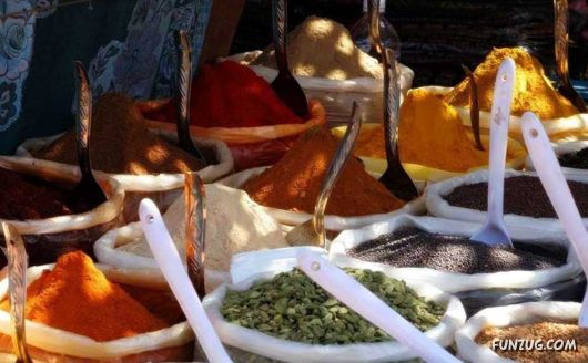 Daily Life in Goa, India