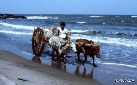 Daily Life in Goa, India