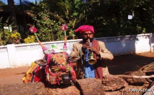 Daily Life in Goa, India
