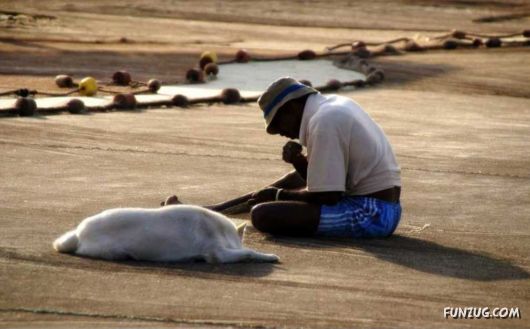 Daily Life in Goa, India