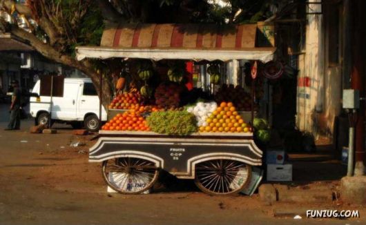 Daily Life in Goa, India