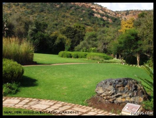 A Trip to Johannesburg, South Africa