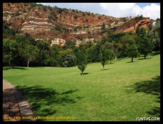 A Trip to Johannesburg, South Africa